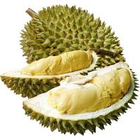 静益乐源 榴莲
