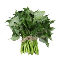 NATURE STAR 自然之星 有机番薯叶 250g