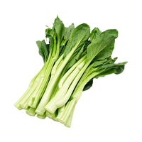 DongSheng 東昇 迟菜心 300g
