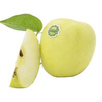 十里馋陕西瑞雪苹果白水脆甜奶油黄苹果当季现摘新鲜时令水果礼盒 9个大果礼盒装