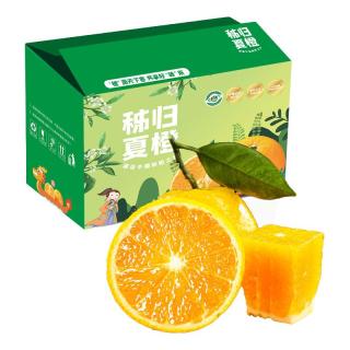 Mr.Seafood 京鲜生 当季湖北秭归九月红脐橙 净重2.5kg 单果130g起 源头直发