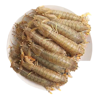 海蕴极鲜【活鲜】皮皮虾鲜活 虾爬子濑尿虾爬爬虾海鲜水产 500g 12-15只左右/斤