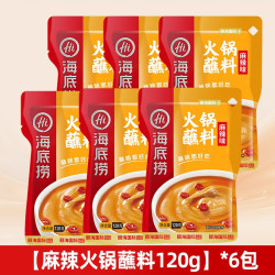 海底捞 烧烤料35g原味+蘸料*3