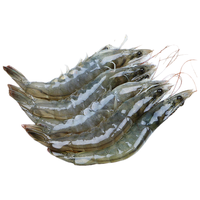 臻鲜蓓【快递】4斤青岛大虾白虾鲜活新鲜特大海鲜水产虾子虾米冷冻 18-20厘米 超值4斤【高品质】