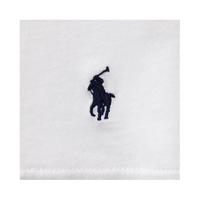 拉夫劳伦 POLO RALPH LAUREN 男士上衣 T恤宽松版型 RM8-X201短袖