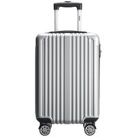 爱登堡 双杆万向轮拉杆箱旅行箱托运箱 DX965001 气质银 24英寸