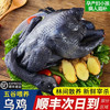 王氏正德 农家散养乌鸡 1600g*2 净重3kg