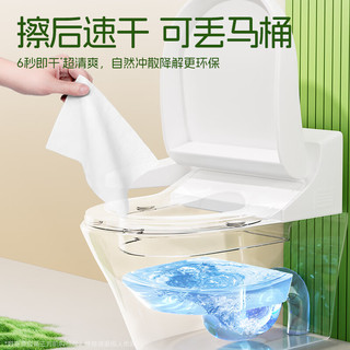 答菲纯水湿厕纸80抽*3包 厕纸屁屁私处湿纸巾 婴童可用