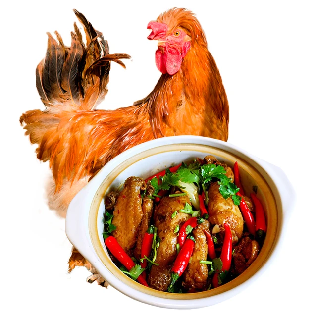 百年栗园 北京油鸡 整只 1kg