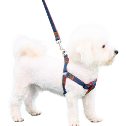 欢宠网 狗绳狗狗牵引绳狗胸背带遛狗牵狗绳狗链子背带宠物大型小型犬小狗 S4-10斤内