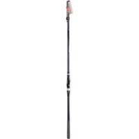 达亿瓦(DAIWA)ISO 矶 进口碳素手海两用竿 投竿 矶钓竿 钓鱼竿 海钓竿 矶竿渔轮套装渔具 套餐(2号5.3米+3000型纺车轮)