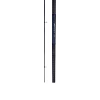 DAIWA 达亿瓦 LBT C SURF 投竿 海钓竿投钓竿钓鱼竿鱼竿钓竿水库竿 海竿套装渔具套餐 裸竿15号-300（3米）