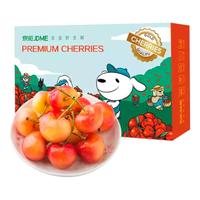 京觅 黄樱桃 J级 单果6-8g 1kg