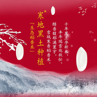 SHI YUE DAO TIAN/十月稻田 2025年新米 大米 5kg*1袋 袋装 5kg
