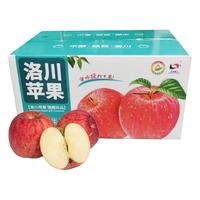 正宗陕西洛川红富士苹果时令新生鲜水果脆甜冰糖心整箱十斤 10斤80~85mm彩箱礼盒带箱约10斤