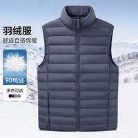 依文 EVE 立领男士羽绒服马甲基础简约外套轻便马夹冬季