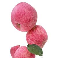 luochuanapple 洛川苹果 红富士 单果果径70mm 25枚