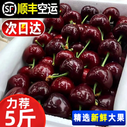 采缇 智利进口车厘子次日达樱桃新鲜水果当季时令整箱 1斤(净重)  一斤装 J 26mm(含)-28mm(不含)