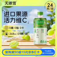 天源雪 SKYRAIN 青提味苏打水 添加维生素C 无气0糖0卡0脂饮料368mL*24瓶整箱