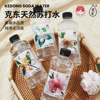 斐矿 克东天然苏打水 500ml*12瓶 弱碱性苏打水