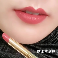 兰奕口红不沾杯不掉色素颜持久雾面防水裸色系滋润哑光口红 灵感山楂色