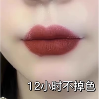 兰奕口红不沾杯不掉色素颜持久雾面防水裸色系滋润哑光口红 复古姨妈色