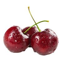卡布诺辽宁大连美早大樱桃鲜果车厘子新鲜水果国产现摘应季生鲜特产空运 2.5kg 特大果 4J 32-34mm