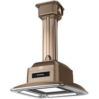 飞稳 麻将机外排吸烟灯空气净化器升降吊灯棋牌室直排商用净化灯 高亮五灯 按钮款_古铜色-明管