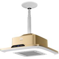 飞稳 麻将室吸烟空气净化器纤薄棋牌室吸烟净化灯升降吊灯抽烟机 超薄款_典雅金（遥控+触控屏）