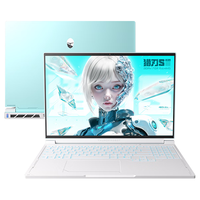 雷神猎刃S2025 【RTX5060】16英寸游戏笔记本电脑(i9-13900HX 32G1T 240Hz天青色)国家政府补贴
