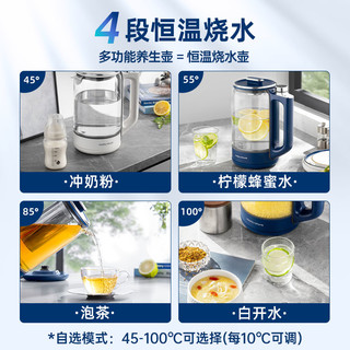  Morphy Richards/摩飞 MR6089 便携式 养生壶