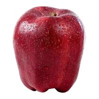 莫小仙 正宗甘肃天水花牛苹果 特大果80mm-90mm 净重8.5-9斤