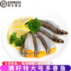 道楼鲜阁 多春鱼新鲜满籽大多春鱼带籽新鲜冷冻海鲜水产烧烤食材 2斤 约16条/斤