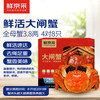 鲜京采 鲜活大闸蟹 全母蟹3.8两 4对8只 去绳足重 蟹类螃蟹河蟹生鲜礼盒
