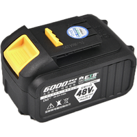 大艺20V锂电电池包大容量 长续航 五金工具电池 A3-48VF【4000毫安】