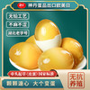 神丹 SHENGDAN 神丹 黄金变蛋 20枚 1kg