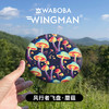 WABOBA户外运动硅胶软飞盘儿童亲子游戏专业比赛飞碟玩具 风行者-蘑菇（直径15cm）