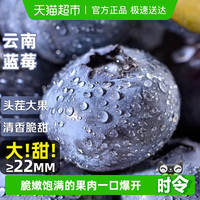 移动端、88VIP：寻天果蔬 云南蓝莓正宗国产新鲜蓝莓王巨无霸当季水果自带花香整箱大果