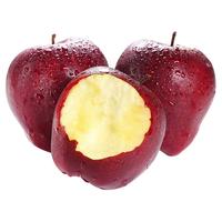 晓筱农场 甘肃天水花牛苹果 4.5-5斤装12-15个 圣诞果  产地直发