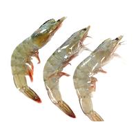 【疯疯零食滋补节】厄瓜多尔2030鲜活南美白对虾盐冻大虾 1.5kg