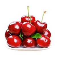 亿鲜夸车厘子智利礼盒装【JD空运-可】大樱桃水果 XL 5斤(4-4.5斤净果)介意慎拍