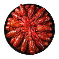 柳伍麻辣蒜蓉小龙虾蒜香整虾加热即食新鲜香辣非鲜活预制菜可剥虾尾 麻辣3-5钱22-28只700g*4盒