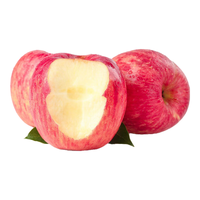 山东烟台红富士苹果栖霞冰糖心脆甜5/10/20斤装新鲜水果整箱团建生鲜 精选果 2斤尝鲜装