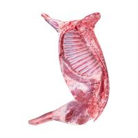 锡牧思内蒙古苏尼特半只羊10斤整羊原切锡林浩特草原散养羔羊年货礼盒 散养羔羊半只10斤