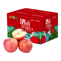 nongxiantao 京觅 洛川红富士苹果 8斤 单果200g+ 新鲜水果生鲜脆甜陕西年货礼盒