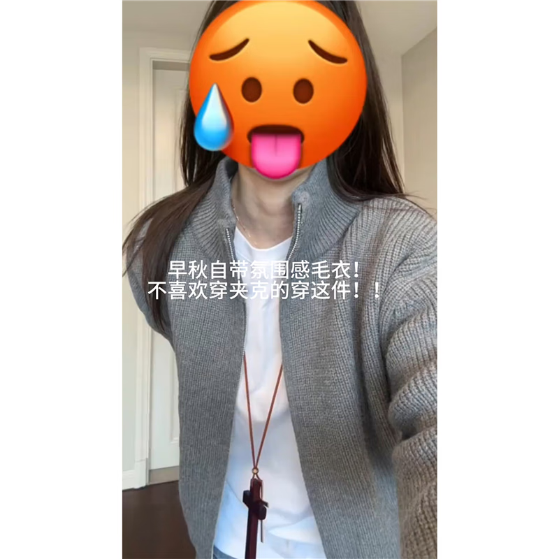 举风美式灰色拉链毛织外套开衫女款早秋慵懒松弛感情侣高领毛衣针织衫 灰色【升级款】
