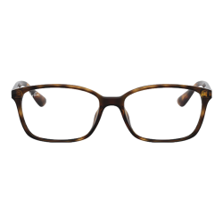 Ray-Ban 眼镜架  2012玳瑁色镜框