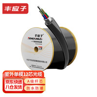 丰应子 室外单模12芯光缆 GYTS/GYTA-12B1.3 层绞式直埋架空/管道光纤线1米