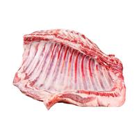 口水时代5斤新鲜内蒙古乳羔羊现杀羊排羊肉羊肋排烧烤火锅食材羊排骨商用 【内蒙古乳羔羊羊排】2.5斤