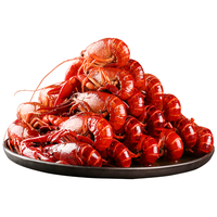 天海藏【6斤】清水小龙虾1kg*3盒（固形物含量≥90%）湖北整虾潜江龙虾 清水小龙虾1kg*3盒